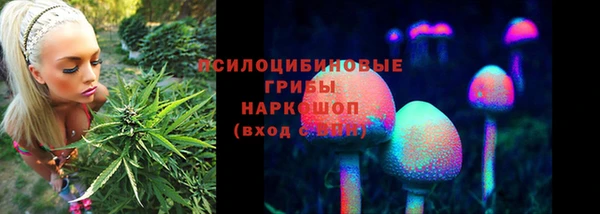 винт Аркадак