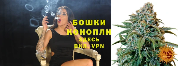 шишки Арсеньев