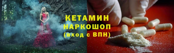 шишки Арсеньев