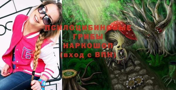 прущие крисы Армянск