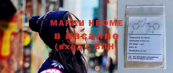 шишки Арсеньев