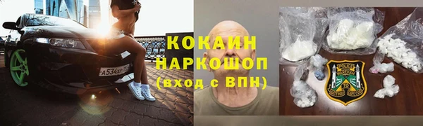 шишки Арсеньев