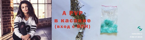 винт Аркадак