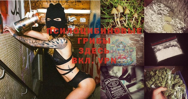 шишки Арсеньев