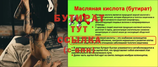 шишки Арсеньев
