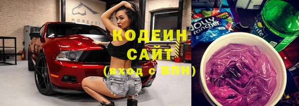 шишки Арсеньев
