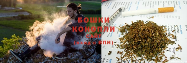 винт Аркадак