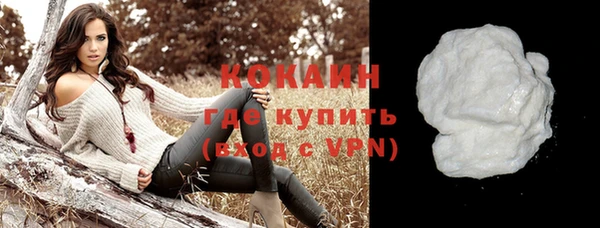 шишки Арсеньев